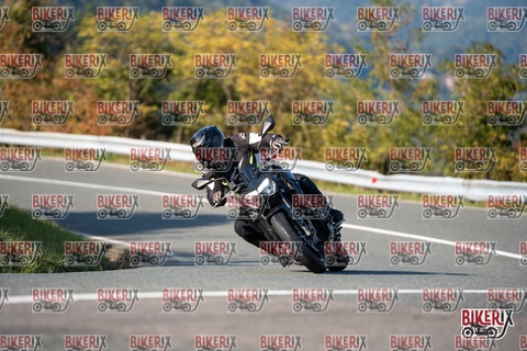 Passo della Futa E 11-10-25 h15-27 2010