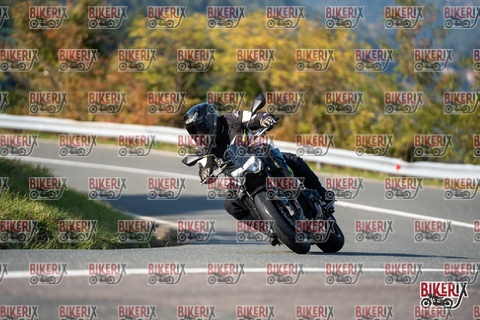 Passo della Futa E 11-10-25 h15-27 2011