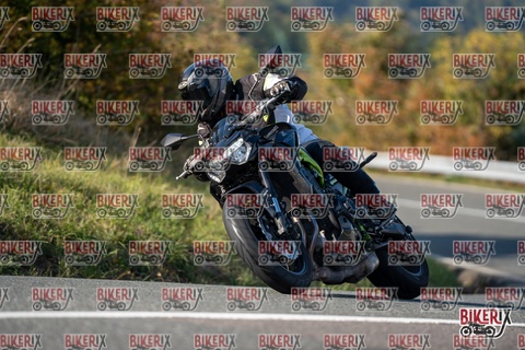 Passo della Futa E 11-10-25 h15-27 2014