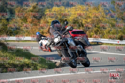 Passo della Futa E 11-10-25 h15-28 2021