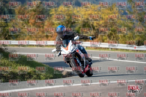 Passo della Futa E 11-10-25 h15-28 2024