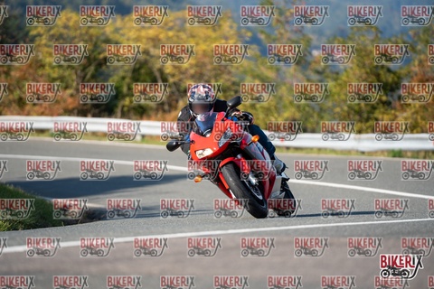 Passo della Futa E 11-10-25 h15-31 2034