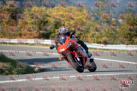 Passo della Futa E 11-10-25 h15-31 2035