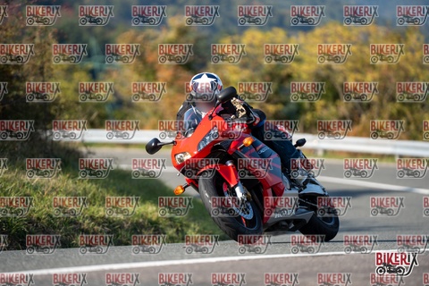 Passo della Futa E 11-10-25 h15-31 2036