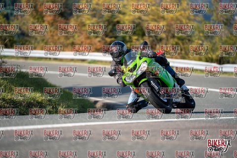 Passo della Futa E 11-10-25 h15-33 2050