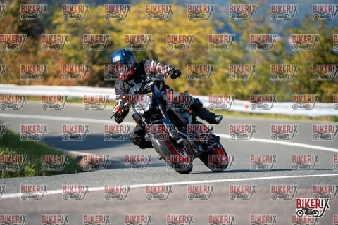 Passo della Futa E 11-10-25 h15-33 2059