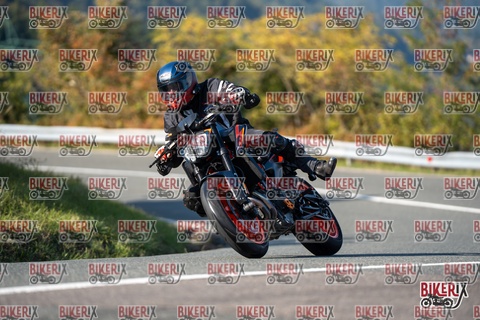 Passo della Futa E 11-10-25 h15-33 2060