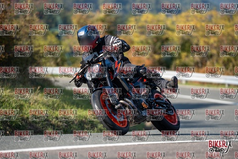 Passo della Futa E 11-10-25 h15-33 2061