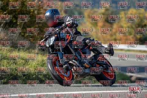 Passo della Futa E 11-10-25 h15-33 2062