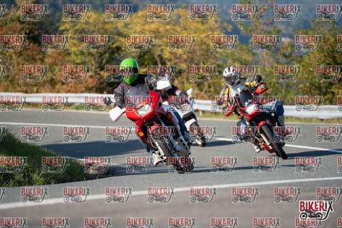 Passo della Futa E 11-10-25 h15-33 2064