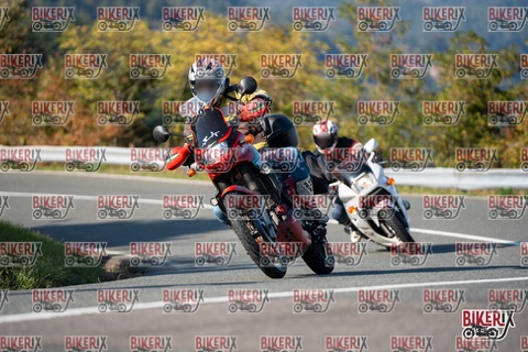 Passo della Futa E 11-10-25 h15-33 2066