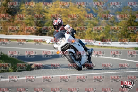 Passo della Futa E 11-10-25 h15-33 2067