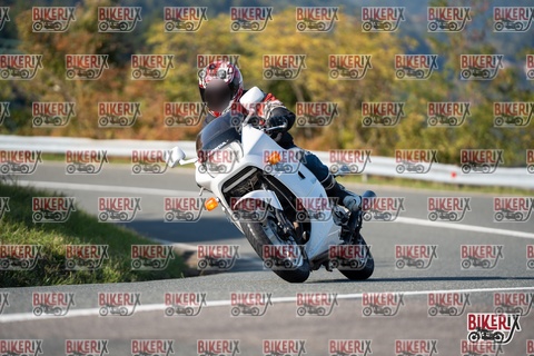 Passo della Futa E 11-10-25 h15-33 2068