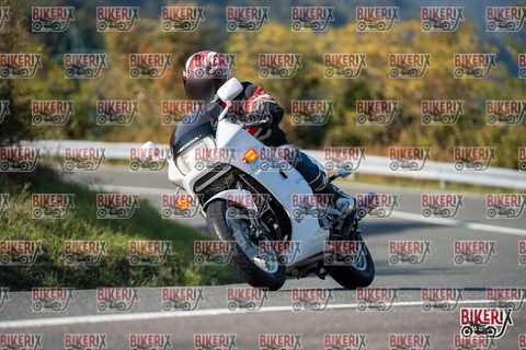 Passo della Futa E 11-10-25 h15-33 2069