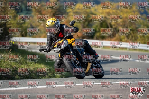 Passo della Futa E 11-10-25 h15-33 2073