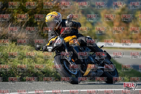 Passo della Futa E 11-10-25 h15-33 2075