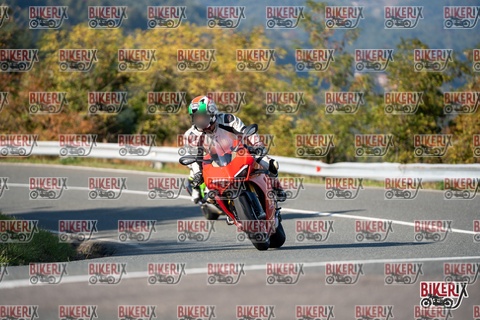 Passo della Futa E 11-10-25 h15-36 2090