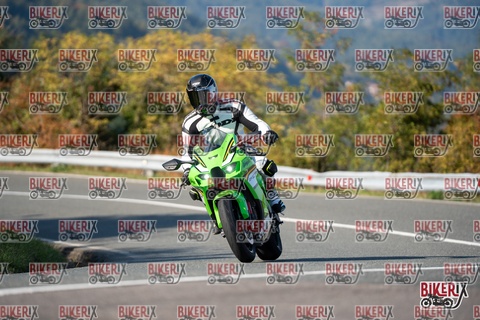 Passo della Futa E 11-10-25 h15-36 2094