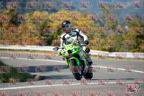 Passo della Futa E 11-10-25 h15-36 2095