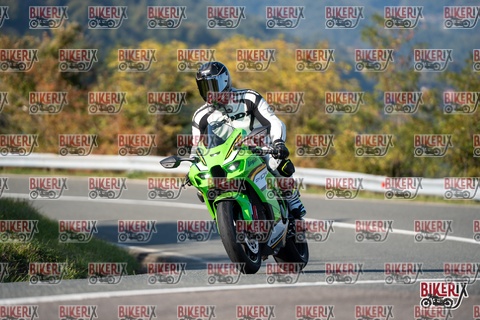 Passo della Futa E 11-10-25 h15-36 2096