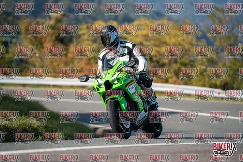 Passo della Futa E 11-10-25 h15-36 2097