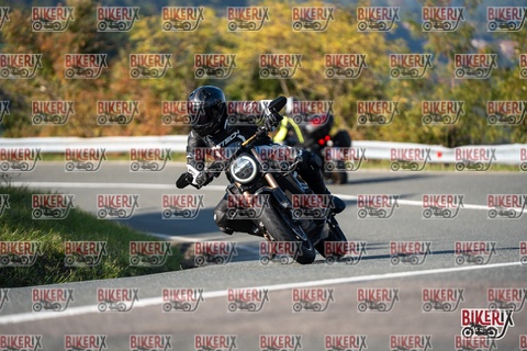 Passo della Futa E 11-10-25 h15-39 2108