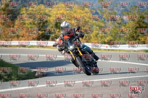 Passo della Futa E 11-10-25 h15-42 2117