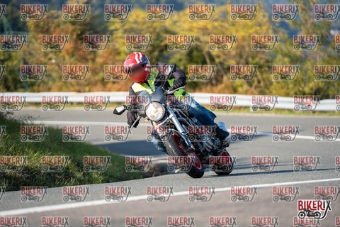 Passo della Futa E 11-10-25 h15-42 2120