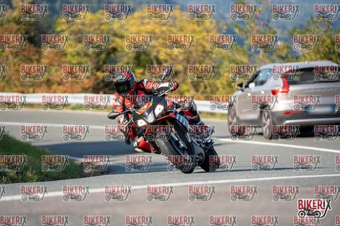 Passo della Futa E 11-10-25 h15-43 2133