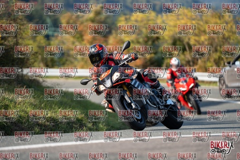 Passo della Futa E 11-10-25 h15-43 2135