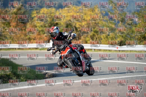 Passo della Futa E 11-10-25 h15-43 2138