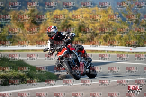 Passo della Futa E 11-10-25 h15-43 2139