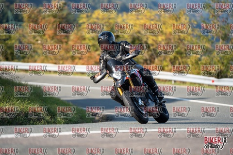 Passo della Futa E 11-10-25 h15-43 2151