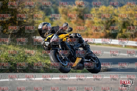 Passo della Futa E 11-10-25 h15-44 2157