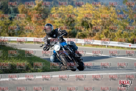 Passo della Futa E 11-10-25 h15-44 2159