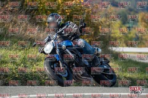 Passo della Futa E 11-10-25 h15-44 2163