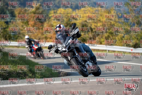 Passo della Futa E 11-10-25 h15-44 2166