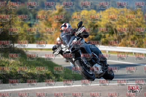 Passo della Futa E 11-10-25 h15-44 2167