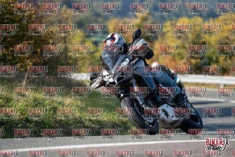 Passo della Futa E 11-10-25 h15-44 2168