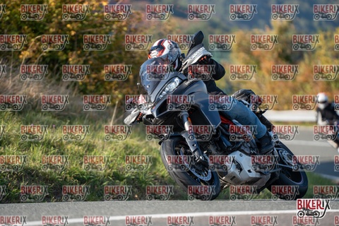 Passo della Futa E 11-10-25 h15-44 2169