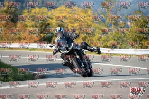 Passo della Futa E 11-10-25 h15-44 2175