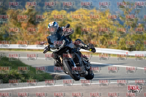 Passo della Futa E 11-10-25 h15-44 2176