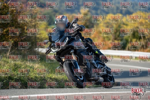 Passo della Futa E 11-10-25 h15-44 2178