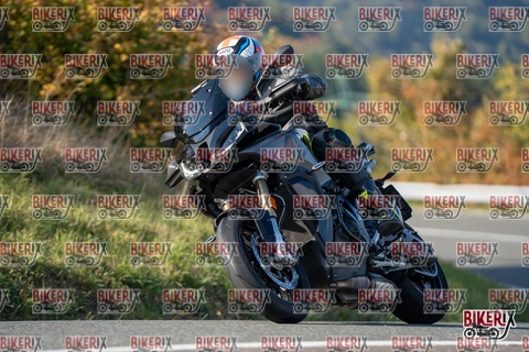 Passo della Futa E 11-10-25 h15-44 2179