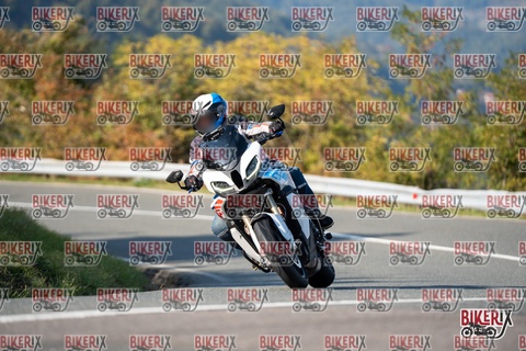 Passo della Futa E 11-10-25 h15-44 2180