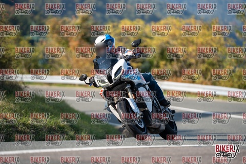 Passo della Futa E 11-10-25 h15-44 2181