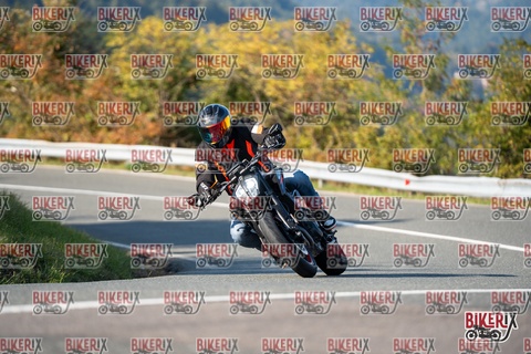 Passo della Futa E 11-10-25 h15-46 2185