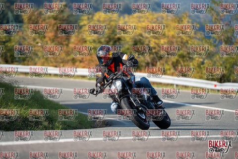 Passo della Futa E 11-10-25 h15-46 2186