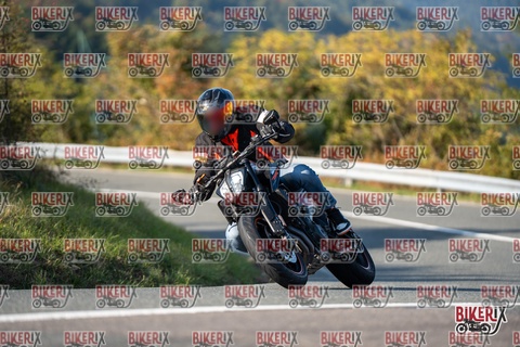 Passo della Futa E 11-10-25 h15-46 2187