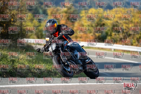 Passo della Futa E 11-10-25 h15-46 2188